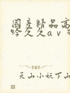 国产精品高潮呻吟久久aⅴ码