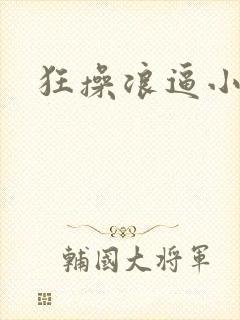 狂操浪逼小说封面