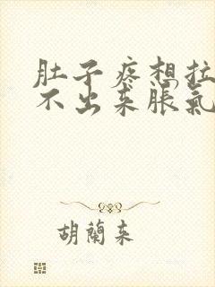 肚子疼想拉屎拉不出来胀气怎么回事