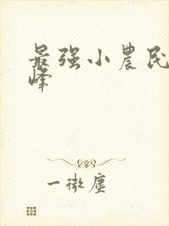 最强小农民沈小峰