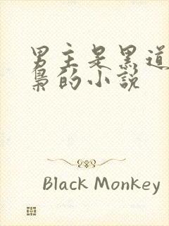 男主是黑道或毒枭的小说