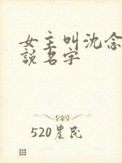 女主叫沈念的小说名字