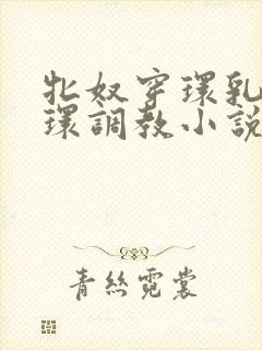 牝奴穿环乳环蒂环调教小说