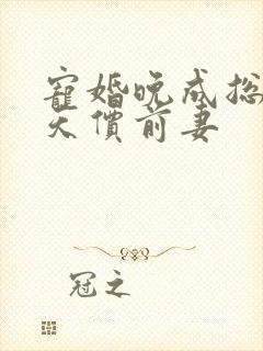 宠婚晚成总裁的天价前妻