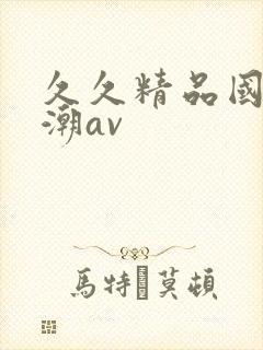 久久精品国产高潮av