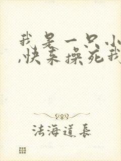 我是一只小母狗,快来操死我