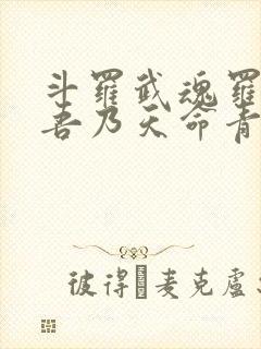 斗罗武魂罗三炮吾乃天命青龙笔趣阁