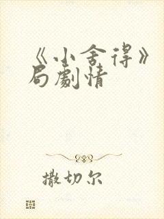 《小舍得》大结局剧情封面