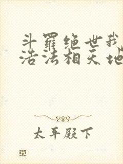 斗罗绝世我霍雨浩法相天地