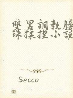 双男调教膀胱入珠揉捏小说