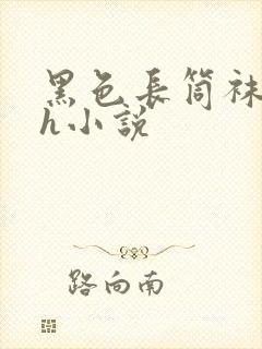 黑色长筒袜校花h小说