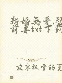 新婚无爱,替罪前妻txt下载封面