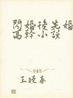 闪婚后先婚后爱高干小说