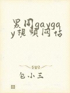男同gaygay视频网站