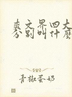 爽文界四大女主分别叫什么