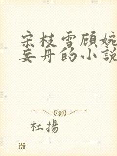 宋枝雪顾婉禾江妄舟的小说