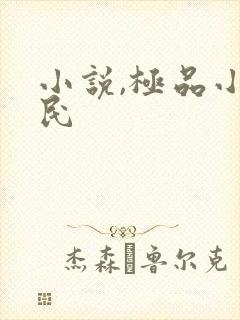 小说,极品小农民