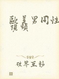 欧美男同性激情视频