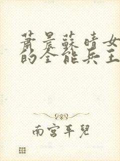 萧晨苏晴女总裁的全能兵王