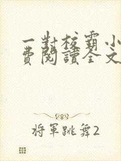 一对校霸小说免费阅读全文无弹窗封面