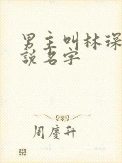 男主叫林琛的小说名字