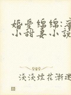婚爱绵绵:蜜宠小甜妻小说封面