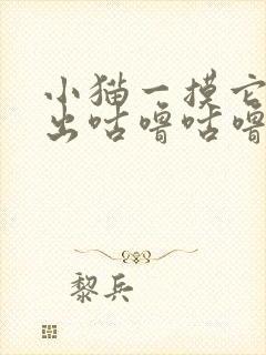 小猫一摸它就发出咕噜咕噜的声音