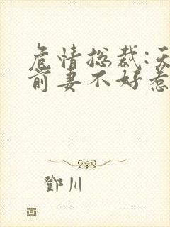 危情总裁:天价前妻不好惹