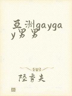 亚洲gaygay男男