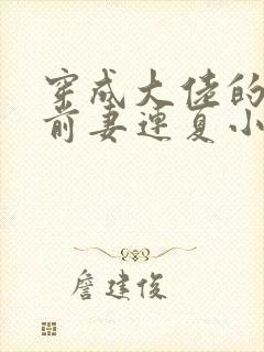 穿成大佬的病弱前妻连夏小说