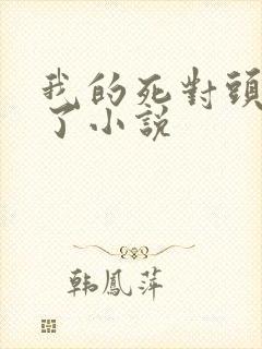 我的死对头破产了小说封面
