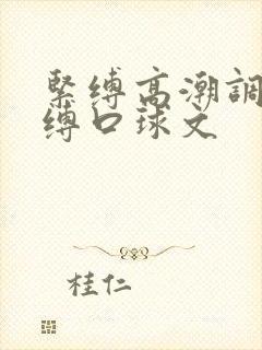 紧缚高潮调教束缚口球文