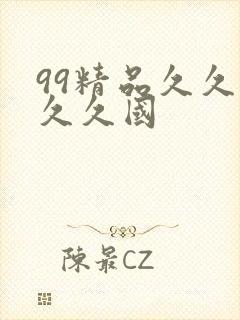 99精品久久久久久国