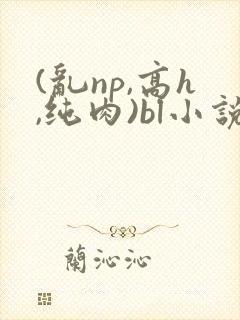 (乱np,高h,纯肉)bl小说