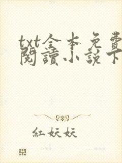 txt全本免费阅读小说下载