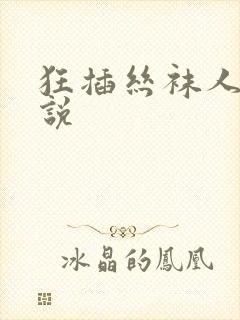 狂插丝袜人妻小说封面