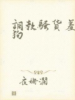 调教骚货羞辱母狗封面