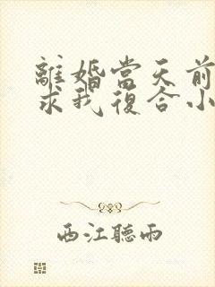 离婚当天前夫跪求我复合小说完整版本