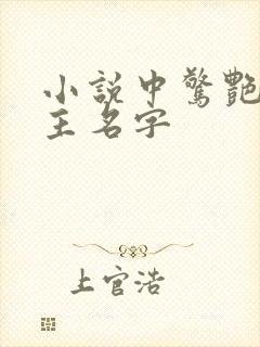 小说中惊艳的男主名字