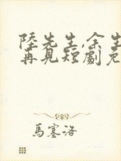 陆先生,余生不再见短剧免费观看封面