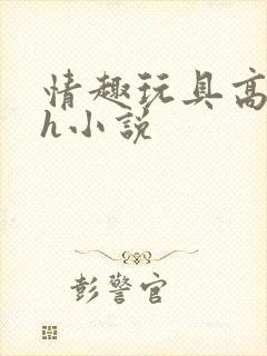 情趣玩具高h肉h小说