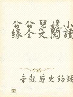 公公儿媳小说孽缘全文阅读