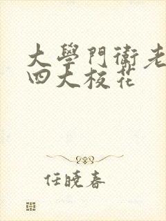 大学门卫老董与四大校花