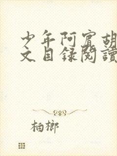 少年阿宾胡太全文目录阅读在线