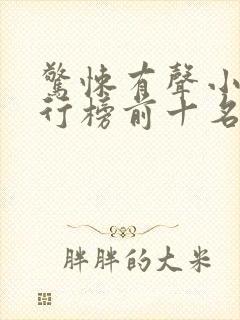 惊悚有声小说排行榜前十名