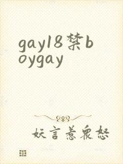 gay18禁boygay