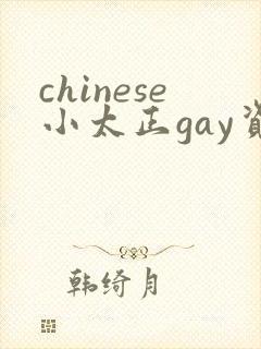 chinese小太正gay资源sm