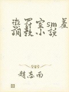 惩罚室sm羞刑调教小说