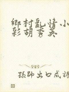 乡村乱情小雷小彩胡秀英封面