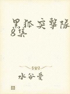 黑狐突击队全48集